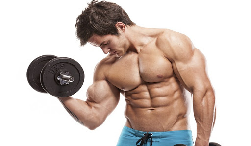 رشد عضلات بعد از تمرین