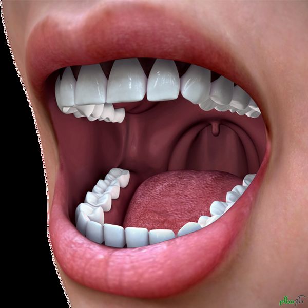 آلرژی دهان