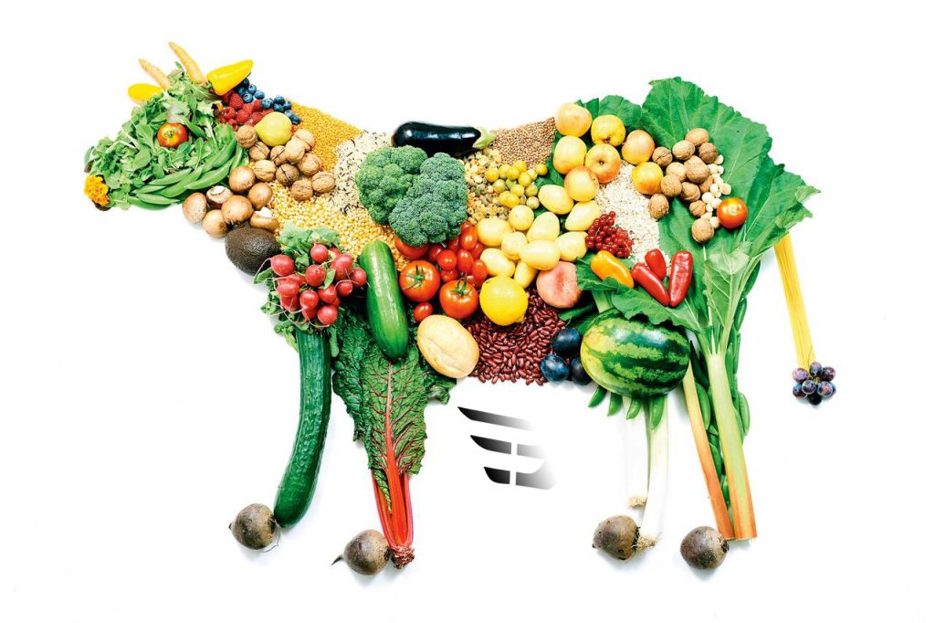 پروتئین در رژیم گیاهخواران