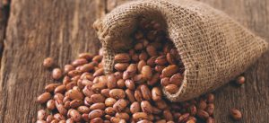 Properties of pinto beans