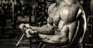 Volume and intensity in weight training