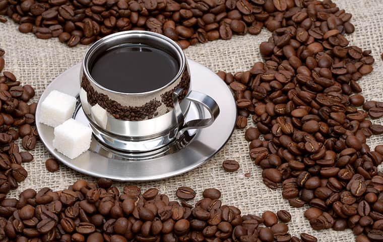 آیا قهوه باعث افزایش کلسترول میشود؟