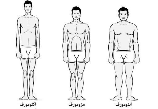 چگونه نوع بدن خود را بشناسم؟