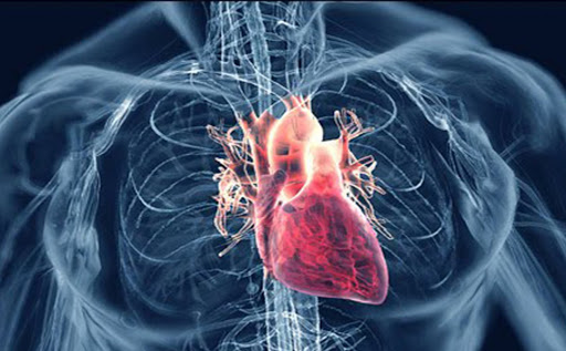 کاتتریزاسیون قلب و آنژیوگرافی کرونر