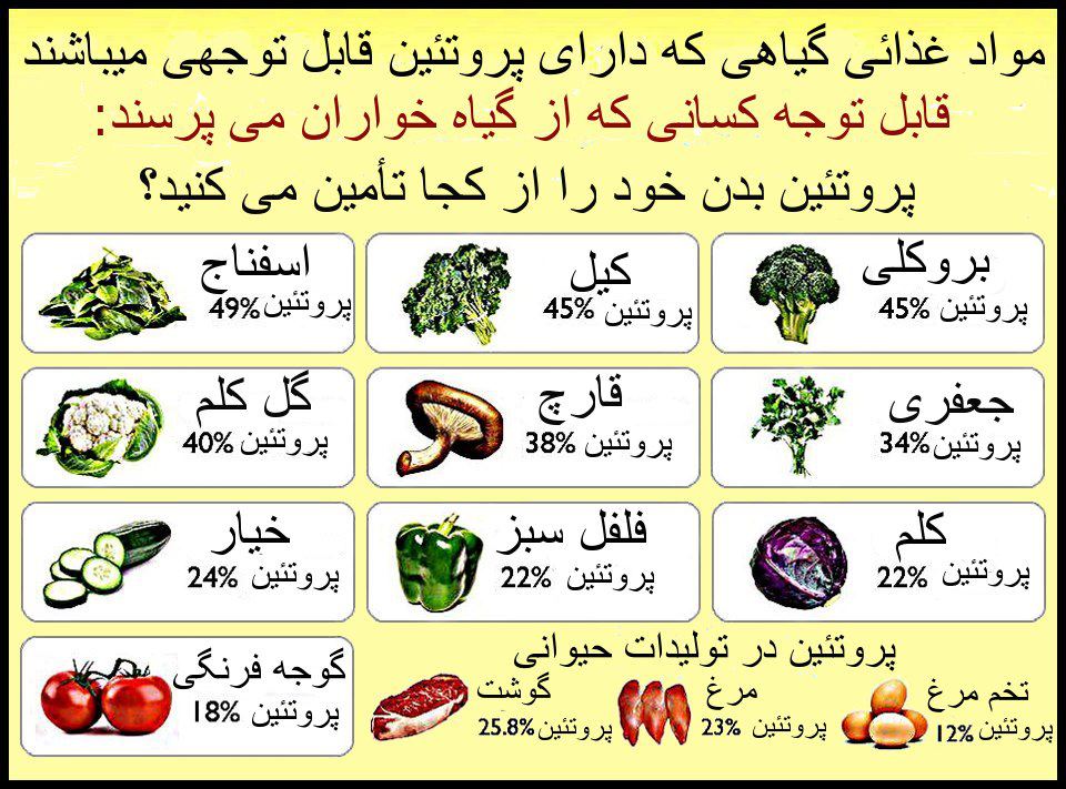 منابع غذایی گیاهی