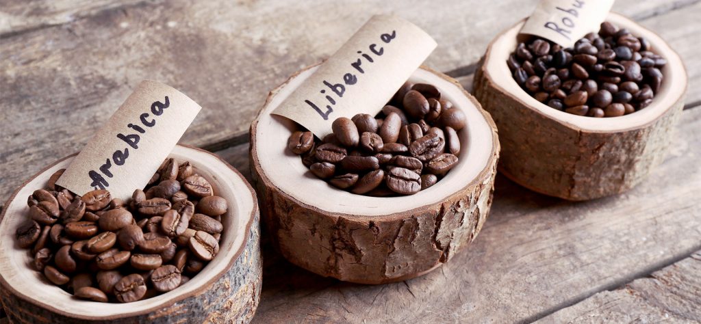 انواع دانه های قهوه